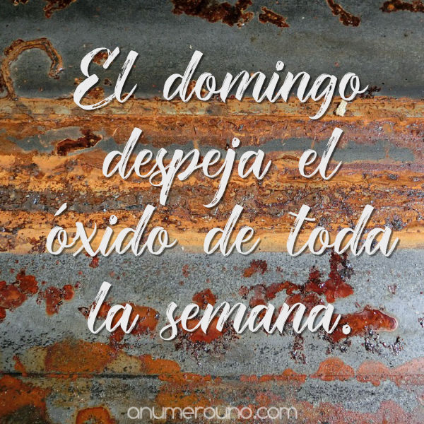 frases para el domingo para redes sociales